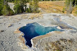 La plus mignonne ! sur Frank's Awesome Travels