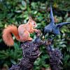 Squirrel and Jackdaw by Klaartje Majoor