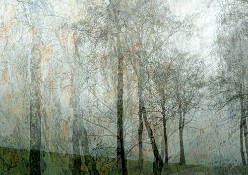 Wer nicht weg ist, wird gesehen von Anita Snik-Broeken