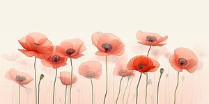 Mohnblumen
