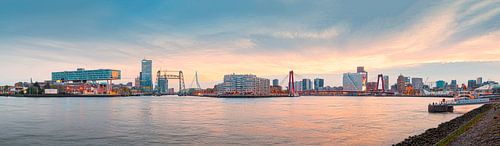  Skyline Rotterdam met de 3 bruggen Panorama