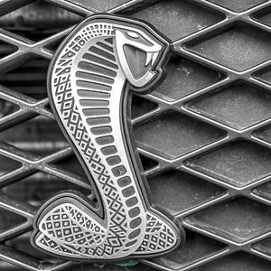 Ford Shelby GT500 Cobra