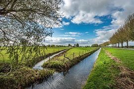 landscape by Peter Venema