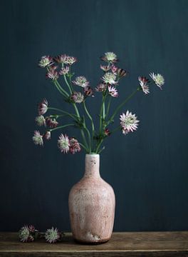 Still life with Astrantia Zeeuws knot by Karin Bazuin