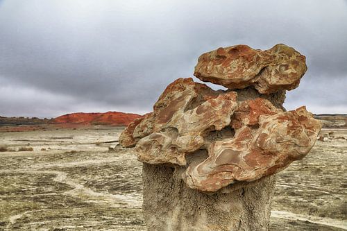 Bisti Badlands, New Mexico, USA