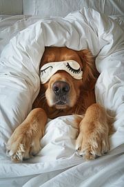 Sleeping dog by Poster Art Shop