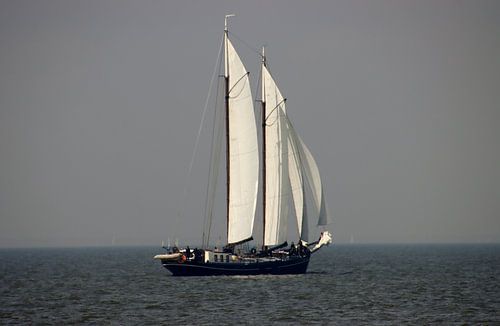 Zeilen op het IJsselmeer van Janny Bergh