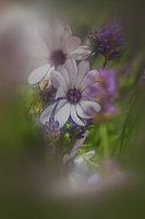 Gestileerde bloemen
