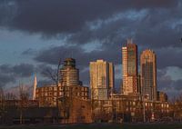 Ansicht Rotterdam