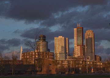 Rotterdams uitzicht van Javier Alonso