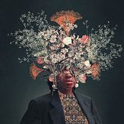 Frank Moth Profile picture