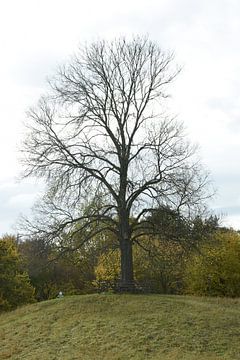Le gardien silencieux