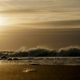 Sunset North Sea Coast Seaside Netherlands Gold 1x1 by Martijn Jebbink Photography