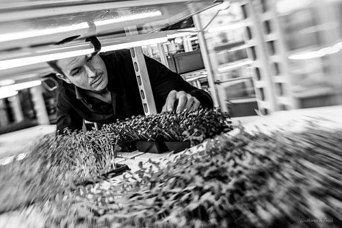 Phood Farm, Eindhoven In Focus