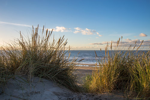 Goud Licht in de Duinenit beeld ademt frisse zeelucht, rust en sereniteit uit. Het is een tijdloos kunstwerk dat perfect past in een modern, landelijk of Scandinavisch interieur, en brengt het ultieme vakantiegevoel naar elke ruimte.