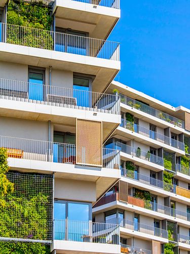 Groene gevel Erfurt - architectuur en natuur