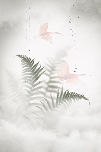 Behind the glass window. 3