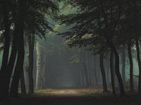 Tu es ma lumière