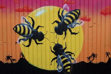 Bijen en zon van Raphael Kipfer