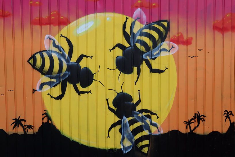Bees and sun by Raphael Kipfer