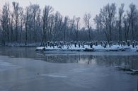 Biesbosch in de winter van Michel van Kooten thumbnail