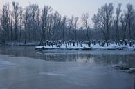 Biesbosch in de winter von Michel van Kooten Miniaturansicht