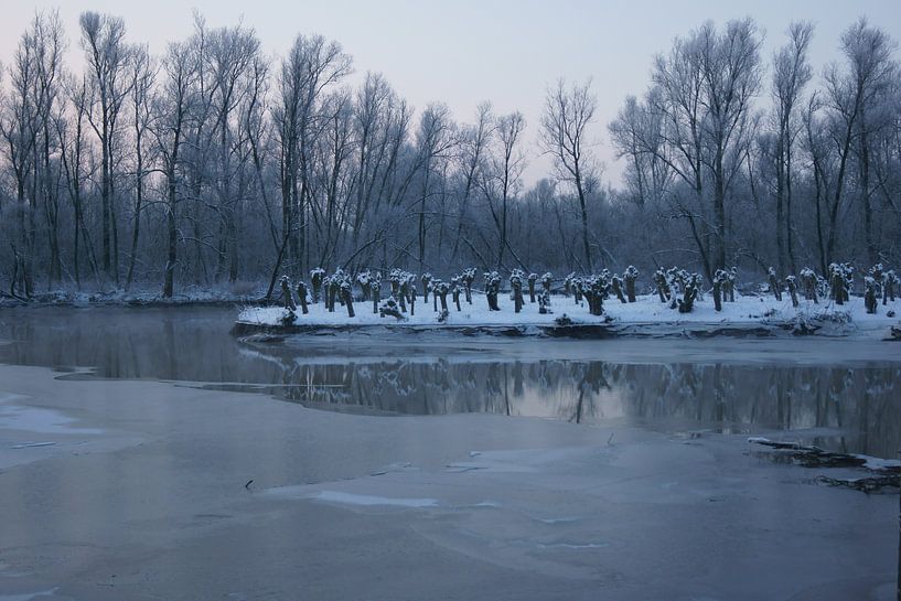 Biesbosch in de winter par Michel van Kooten