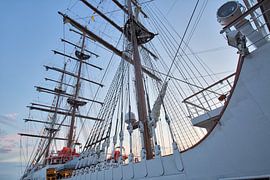 Rotterdam by Eric van Nieuwland