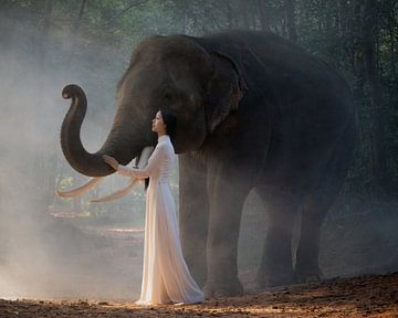 Jeune femme avec un éléphant dans la forêt sur Anges van der Logt