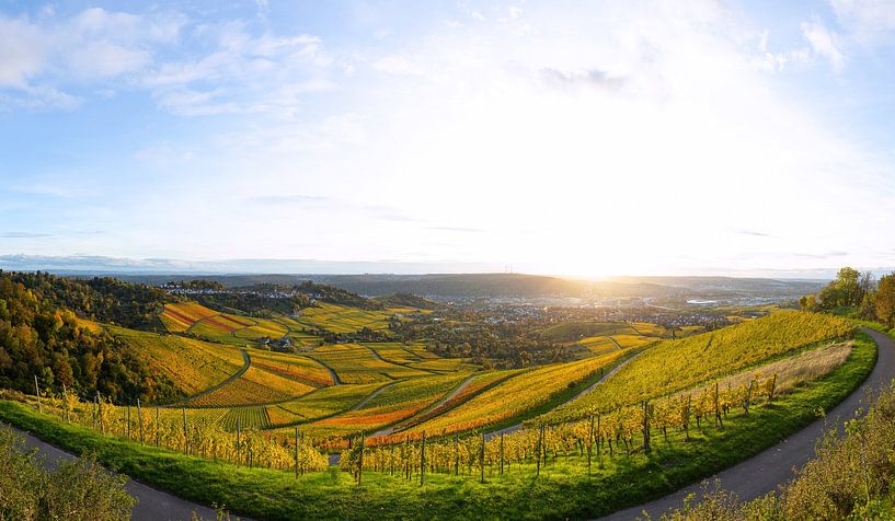 Extensive panorama of the vineyards on the Kappelberg near Stuttgart. by Jiri Viehmann