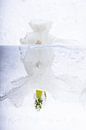 Witte narcissen in ijs 2 van Marc Heiligenstein thumbnail