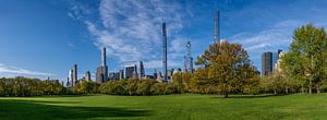 Sheep Meadow
