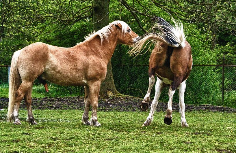 onbeantwoorde liefde by foto-fantasie foto-fantasie