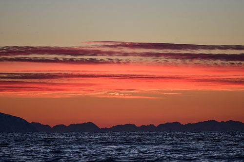 Summer colours in winter by Koen Hoekemeijer