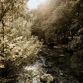 Sunlight on a river in Bulgaria by Christa Stories