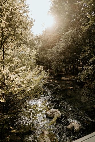 Lumière du soleil sur une rivière en Bulgarie sur Christa Stories