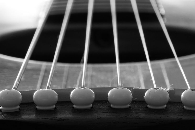 Muziek - De juiste snaar raken von Tess Groote