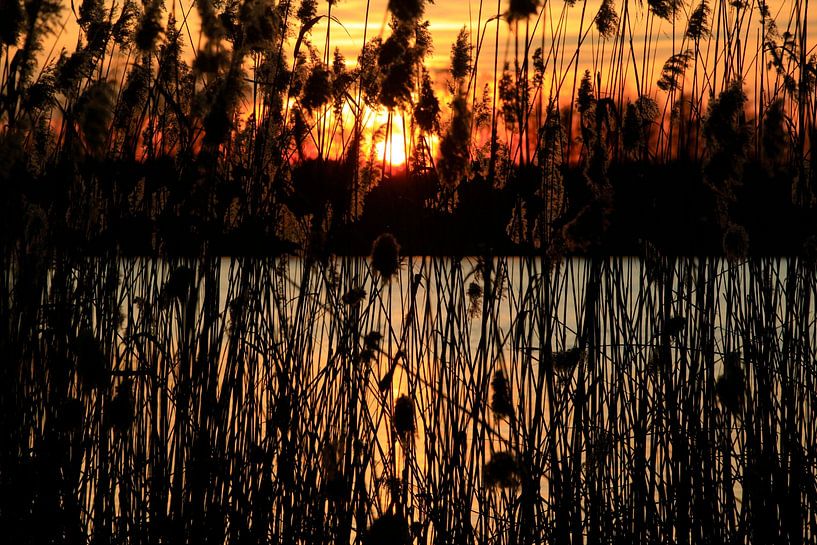 Abend am See von Thomas Jäger
