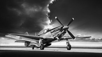 mustang p 51