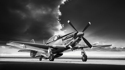 mustang p 51