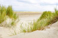 Summer at the beach of the island Terschelling  by Sjoerd van der Wal thumbnail