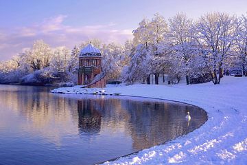 Seepark Freiburg in de winter van Patrick Lohmüller