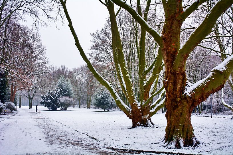 Besneeuwd landschap 1 van Edgar Schermaul