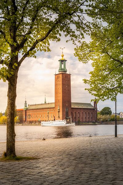 Stadhuis van Stockholm in de lente van Nicklas Gustafsson