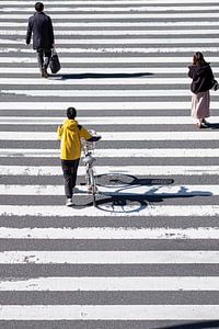 Zebrastreifen in Tokio, Japan