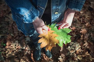 Herbstblatt mit Nagellack von Perry Wiertz