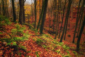 Deep fall