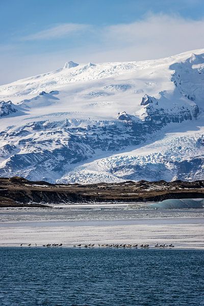 Besneeuwde gletsjer van KiekLau! Fotografie