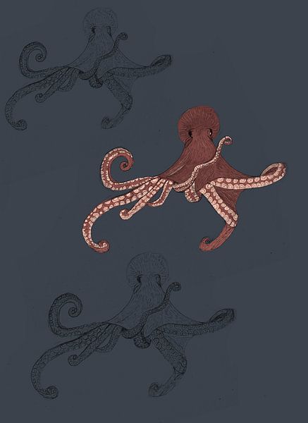 Squid by Kirtah Designs