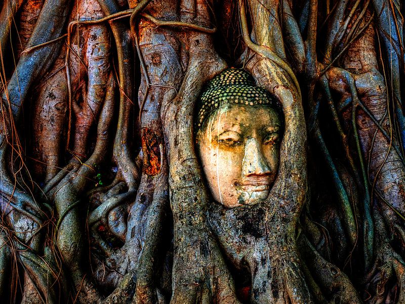 Tête d'une statue de Bouddha par Jürgen Wiesler